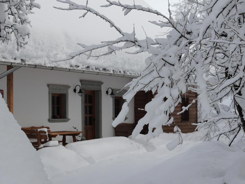Farm Stay Dolinar Krainer โบฮินิสกา เบลา ภายนอก รูปภาพ